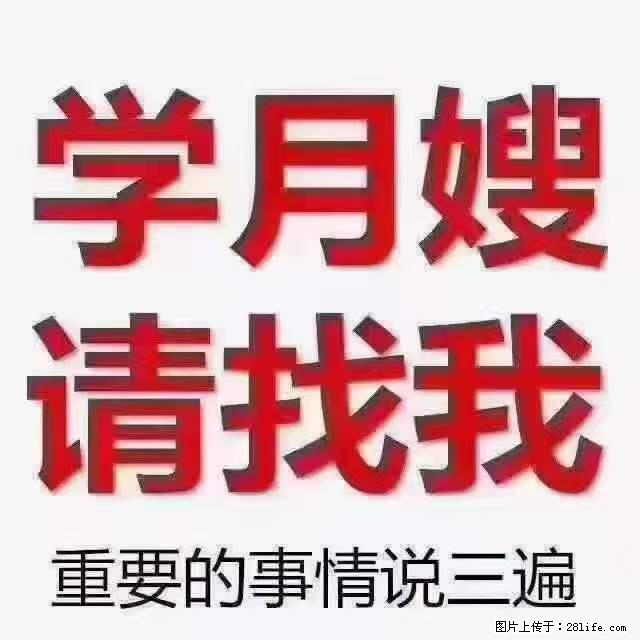 为什么要学习月嫂，育婴师？ - 其他广告 - 广告专区 - 乌兰察布分类信息 - 乌兰察布28生活网 wlcb.28life.net