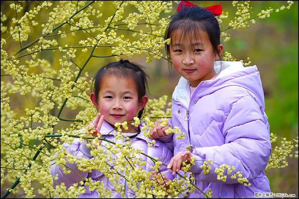 【春天，广西桂林灌阳县向您发出邀请！】米珠山前有片山苍子花在飘香 - 游山玩水 - 乌兰察布生活社区 - 乌兰察布28生活网 wlcb.28life.net