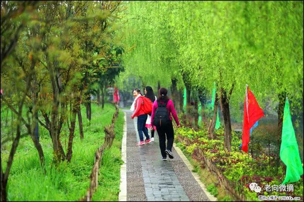 【春天，广西桂林灌阳县向您发出邀请！】江口老街又逢春 - 游山玩水 - 乌兰察布生活社区 - 乌兰察布28生活网 wlcb.28life.net