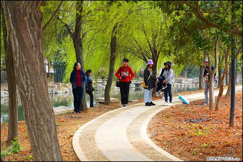 【春天，广西桂林灌阳县向您发出邀请！】江口老街又逢春 - 游山玩水 - 乌兰察布生活社区 - 乌兰察布28生活网 wlcb.28life.net