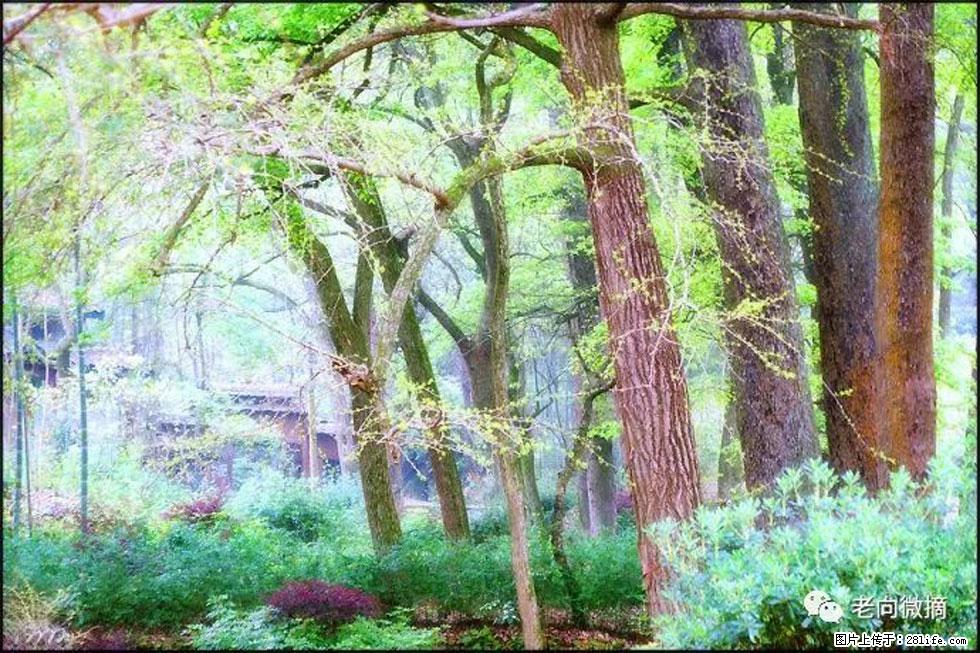 【春天，广西桂林灌阳县向您发出邀请！】在小龙村与春天约会 - 游山玩水 - 乌兰察布生活社区 - 乌兰察布28生活网 wlcb.28life.net