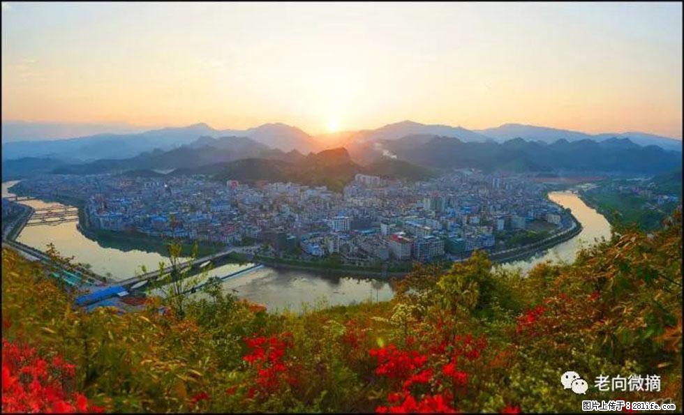 【春天，广西桂林灌阳县向您发出邀请！】登麒麟山，相约映山红 - 游山玩水 - 乌兰察布生活社区 - 乌兰察布28生活网 wlcb.28life.net
