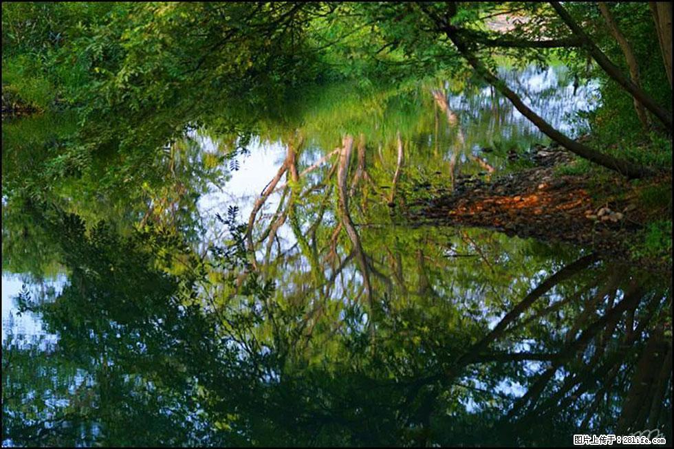 【春天，广西桂林灌阳县向您发出邀请！】熊家寨湿地公园 - 游山玩水 - 乌兰察布生活社区 - 乌兰察布28生活网 wlcb.28life.net