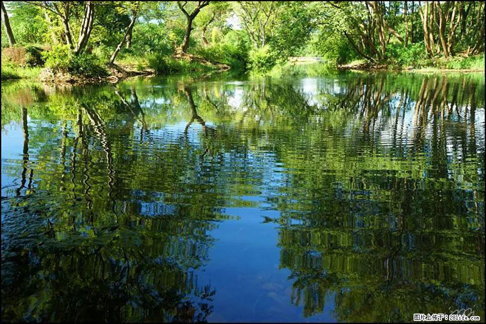 【春天，广西桂林灌阳县向您发出邀请！】熊家寨湿地公园 - 游山玩水 - 乌兰察布生活社区 - 乌兰察布28生活网 wlcb.28life.net