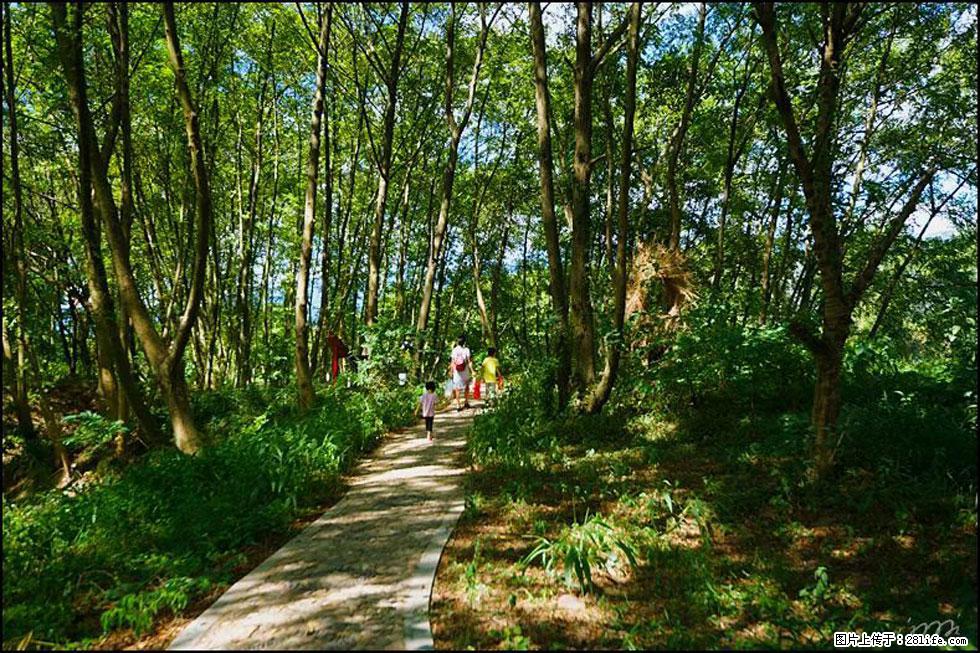 【春天，广西桂林灌阳县向您发出邀请！】熊家寨湿地公园 - 游山玩水 - 乌兰察布生活社区 - 乌兰察布28生活网 wlcb.28life.net