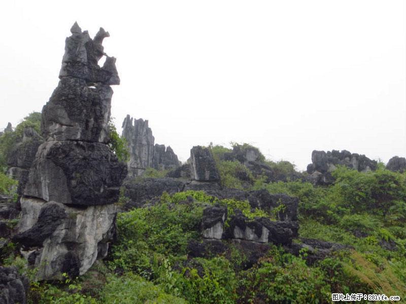 桂林旅游名城景点：灌阳文市石林 - 游山玩水 - 乌兰察布生活社区 - 乌兰察布28生活网 wlcb.28life.net