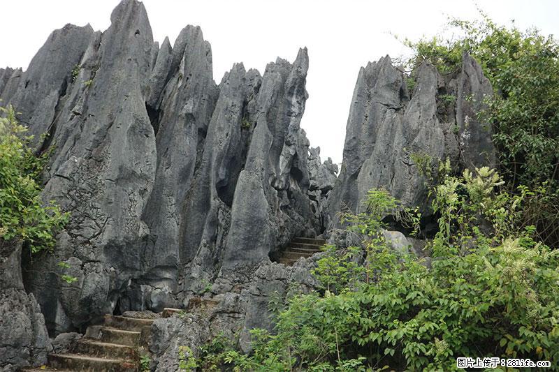 桂林旅游名城景点：灌阳文市石林 - 游山玩水 - 乌兰察布生活社区 - 乌兰察布28生活网 wlcb.28life.net