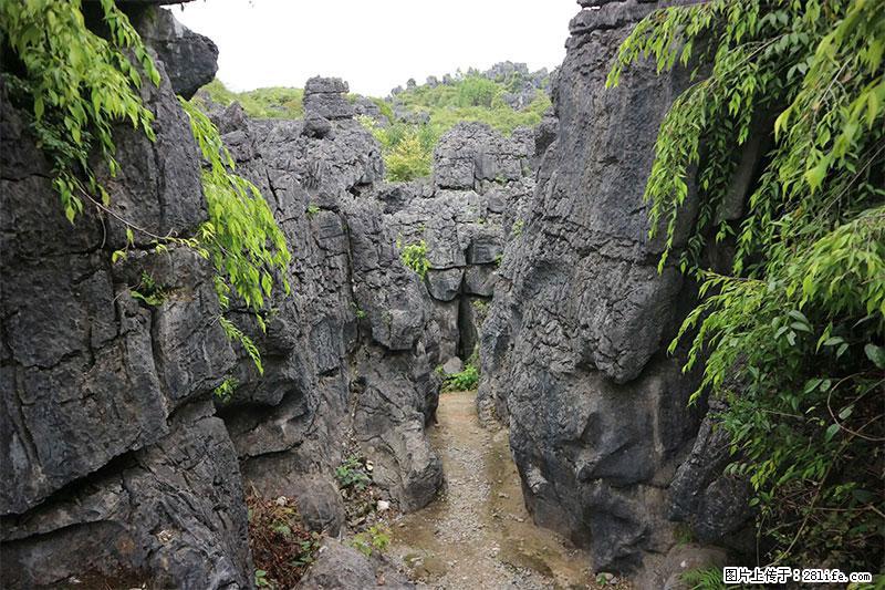 桂林旅游名城景点：灌阳文市石林 - 游山玩水 - 乌兰察布生活社区 - 乌兰察布28生活网 wlcb.28life.net