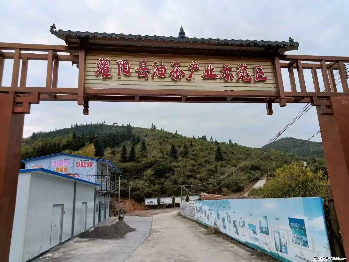 【灌阳县油茶产业示范区】一个有着充实的精神生活的人，对待身外之物自会有一种淡泊的态度 - 美食天地 - 乌兰察布生活社区 - 乌兰察布28生活网 wlcb.28life.net