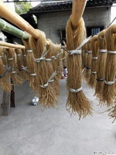 【灌阳正宗红薯粉】美女家里自己做的，干净卫生，假一赔十，价格合理，抢购电话：13737312895 - 乌兰察布28生活网 wlcb.28life.net