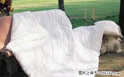 被子有异味？只要这样做，比晒太阳还强100倍！ - 家居生活 - 乌兰察布生活社区 - 乌兰察布28生活网 wlcb.28life.net