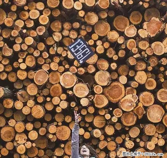 辞掉工作周游世界？现在他们在洗厕所…… - 游山玩水 - 乌兰察布生活社区 - 乌兰察布28生活网 wlcb.28life.net