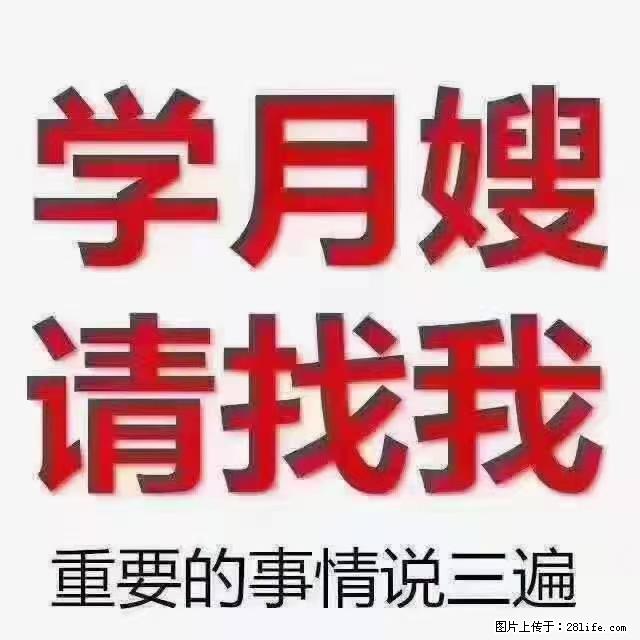 【招聘】月嫂，上海徐汇区 - 职场交流 - 乌兰察布生活社区 - 乌兰察布28生活网 wlcb.28life.net
