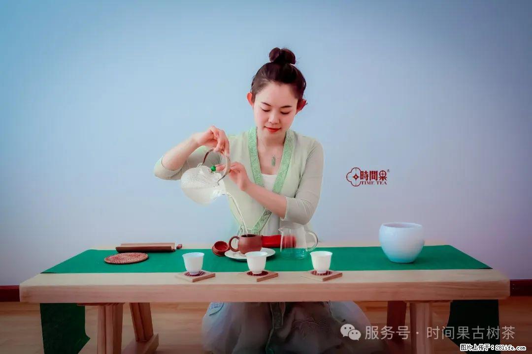 时间果百年古树龙珠普洱生茶 - 购物交流 - 乌兰察布生活社区 - 乌兰察布28生活网 wlcb.28life.net