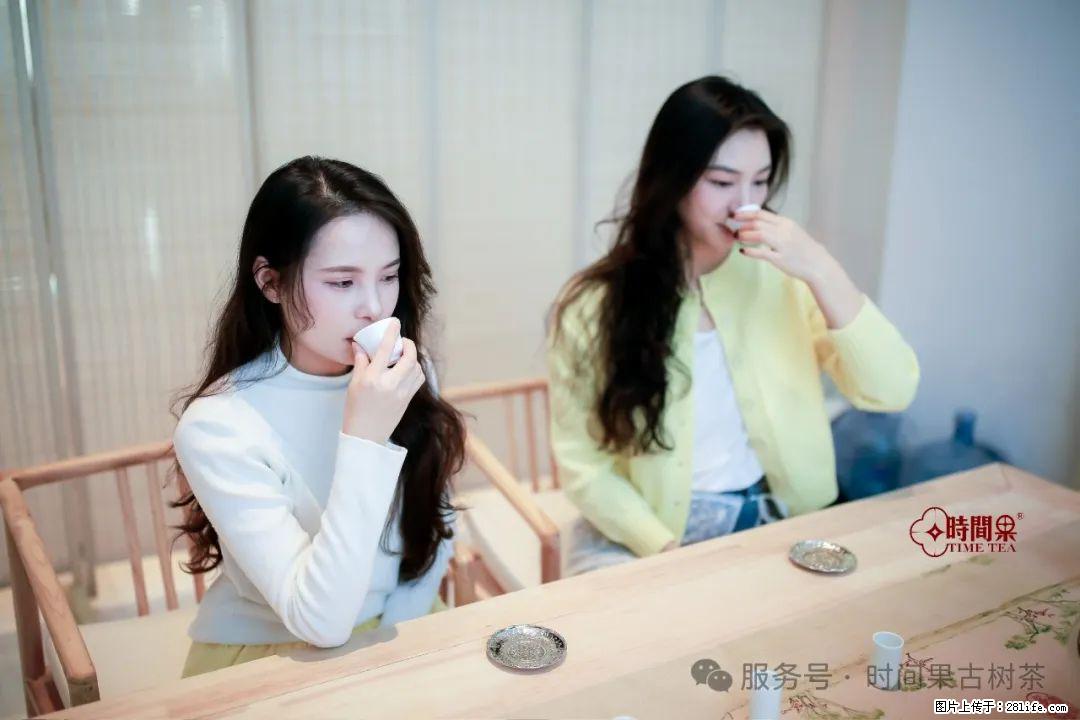 时间果百年古树龙珠普洱生茶 - 购物交流 - 乌兰察布生活社区 - 乌兰察布28生活网 wlcb.28life.net