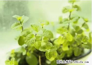 晕车、脚气、牙齿变黄、皮肤粗糙？学会这些三分钟搞定！ - 乌兰察布生活资讯 - 乌兰察布28生活网 wlcb.28life.net