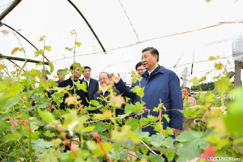 习近平赴广西考察调研 - 乌兰察布生活资讯 - 乌兰察布28生活网 wlcb.28life.net