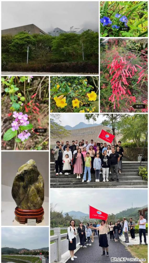 “粤灌文化 美好生活”油茶文化主题活动在广东深圳成功举办 - 乌兰察布生活资讯 - 乌兰察布28生活网 wlcb.28life.net