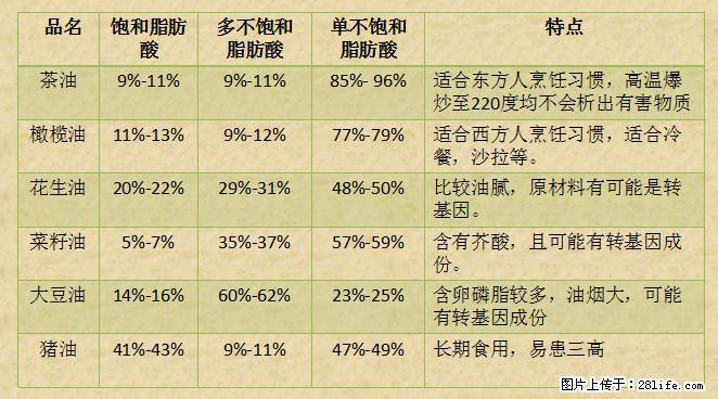 揭秘茶油的5大核心营养成分！被称为人体健康的“守护盾”！ - 乌兰察布生活资讯 - 乌兰察布28生活网 wlcb.28life.net