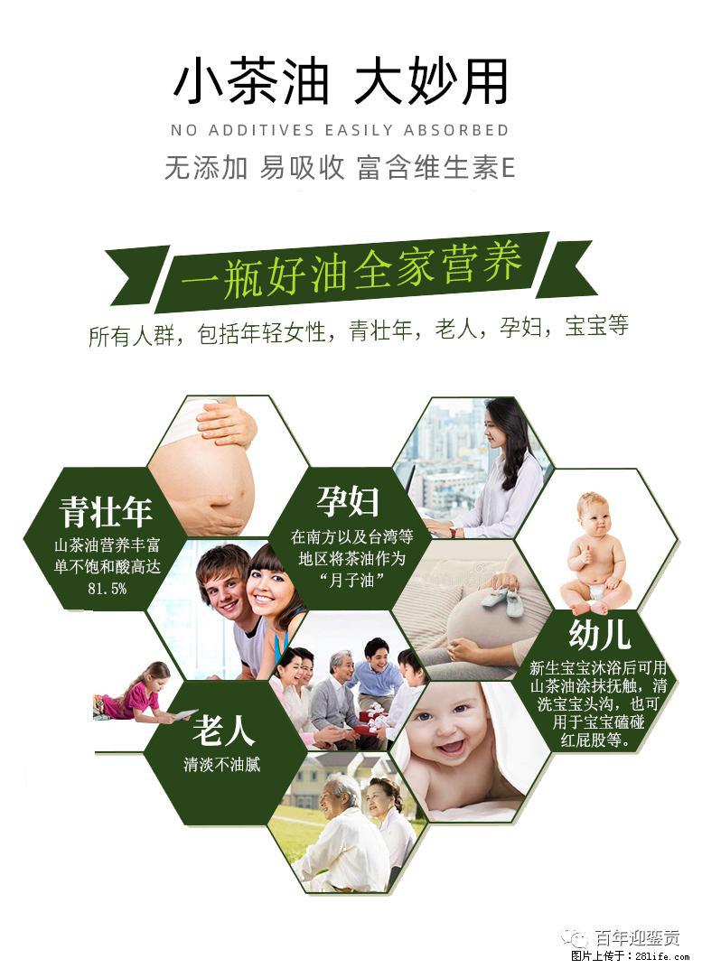 世界没有真相，只有认知，最好的食用油是中国的山茶油！ - 乌兰察布生活资讯 - 乌兰察布28生活网 wlcb.28life.net