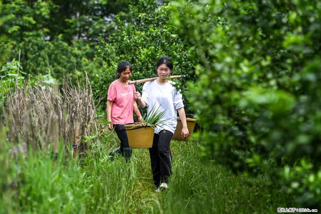 全网追的“扁担女孩”，找了一份暑假工，时薪12元 - 乌兰察布生活资讯 - 乌兰察布28生活网 wlcb.28life.net