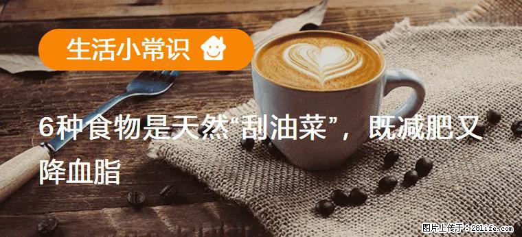 【生活小常识】6种食物是天然“刮油菜”，既减肥又降血脂 - 乌兰察布生活资讯 - 乌兰察布28生活网 wlcb.28life.net