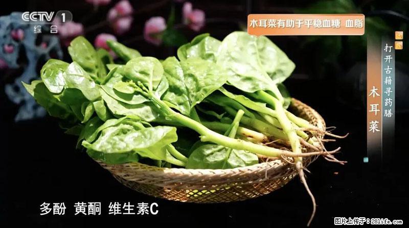 比牛奶补钙还厉害！凉血解毒、稳血糖...这菜冬天必吃，很多人却当草 - 乌兰察布生活资讯 - 乌兰察布28生活网 wlcb.28life.net