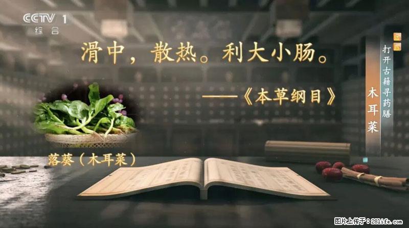 比牛奶补钙还厉害！凉血解毒、稳血糖...这菜冬天必吃，很多人却当草 - 乌兰察布生活资讯 - 乌兰察布28生活网 wlcb.28life.net