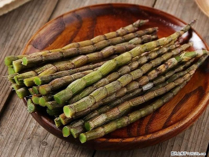 铁皮石斛的作用与功能主治 - 乌兰察布生活资讯 - 乌兰察布28生活网 wlcb.28life.net