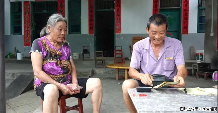 【乡村振兴】文市蜂糖李、黄金奈李迎丰产上市季 甜蜜产业助振兴 - 乌兰察布生活资讯 - 乌兰察布28生活网 wlcb.28life.net